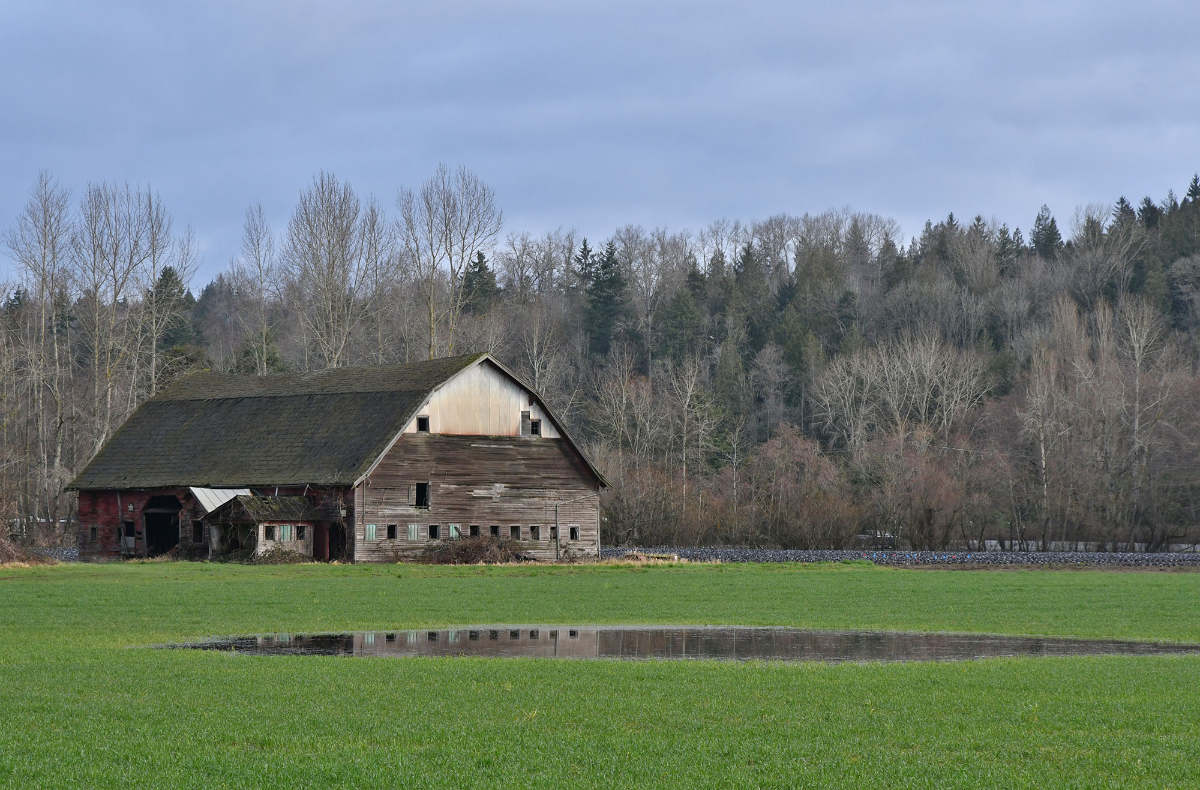 a barn in a green field with a pond in front